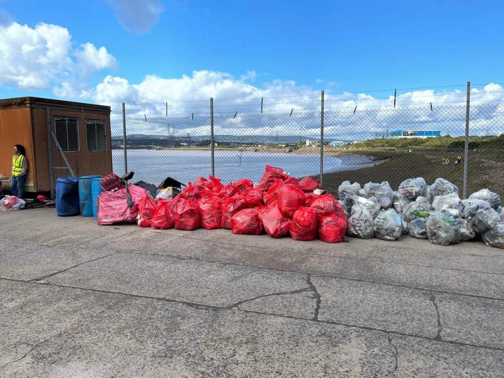 riverbank litter pick